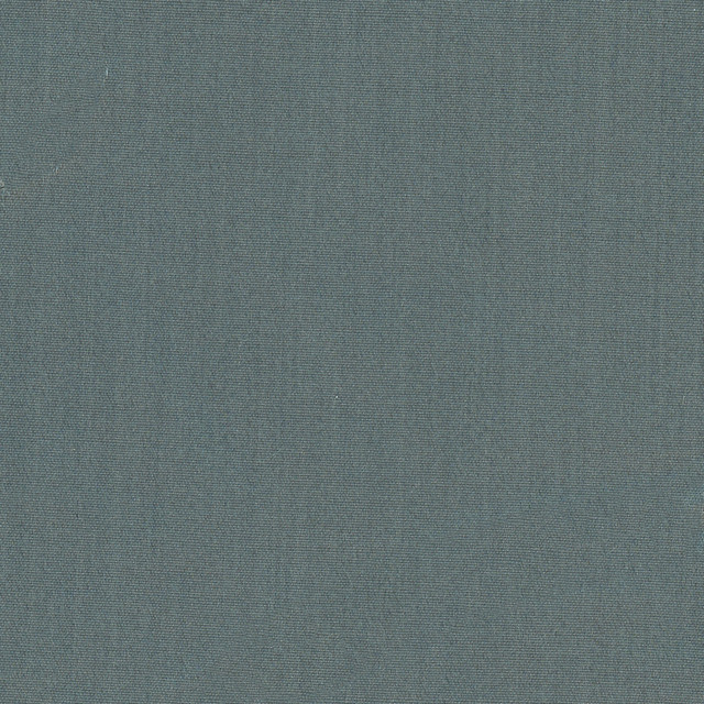 Tempt Graphite by Carole Designer Fabric Royale 100% IFR Polyester India Passes 45,000 Double Rubs Wyzenbeek Horizontal: 0 and Vertical: 0 54 - Swanky Fabrics -