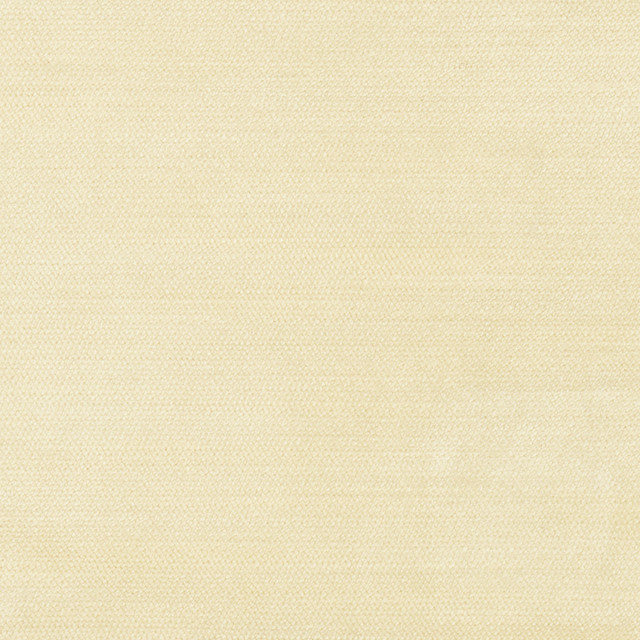 Cool Touch Buff by Carole Designer Fabric Touch Of Luxury 100% Polyester Turkey 50,000 Wyzenbeek Double Rubs Horizontal: 0 and Vertical: 0 54 - Swanky Fabrics -