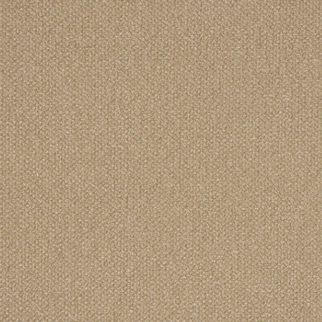 Bella Beige by Crypton Designer Fabric See sample 100% Polyester  50000 Horizontal: Not Applicable and Vertical: Not Applicable 54"  - Swanky Fabrics -