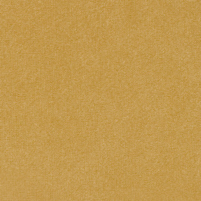 Suede Dijon by Crypton Designer Fabric See sample 100% Polyester  50000 Horizontal: Not Applicable and Vertical: Not Applicable 54"  - Swanky Fabrics -