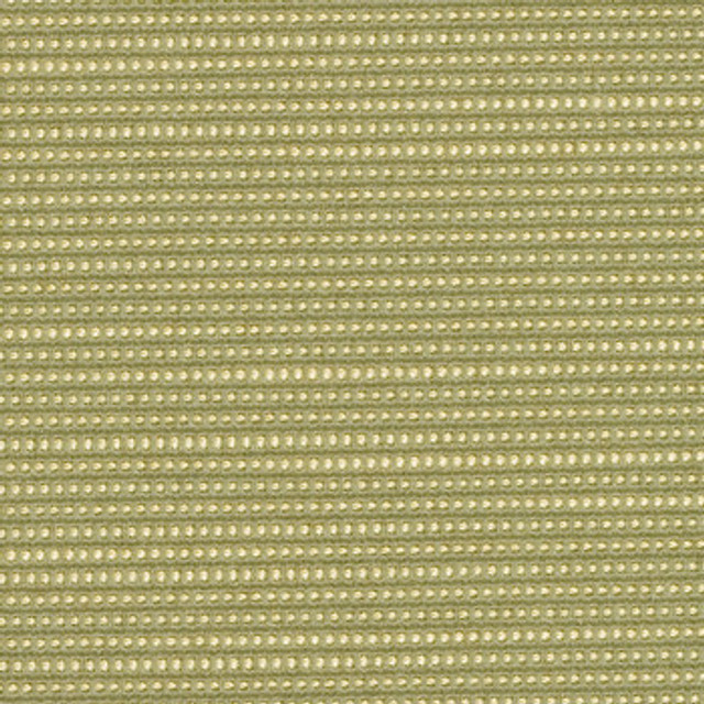 Vibe Cactus by Crypton Designer Fabric See sample 48% Polyester30% Rayon22% Cotton  50000 Horizontal: Not Applicable and Vertical: Not Applicable 54"  - Swanky Fabrics -