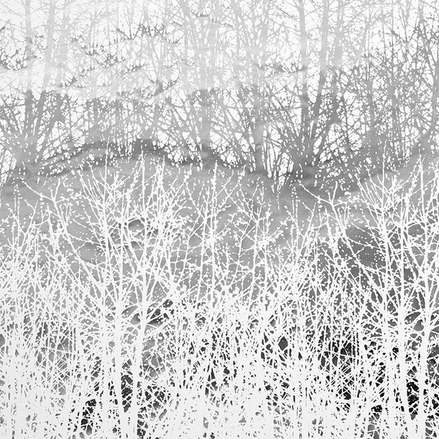 Birches Silver 2707244 by Schumacher Designer Wallpaper Modern Nature 13.5" - Swanky Fabrics -