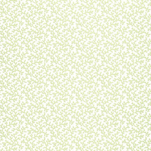 Coral Vine Aloe 5004412 by Schumacher Designer Wallpaper Simply Charming 4.5" - Swanky Fabrics - Coral Vine Aloe 5004412 by Schumacher Designer Wallpaper Simply Charming 4.5" - Swanky Fabrics -