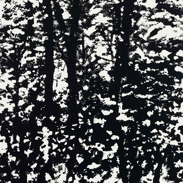 Woodland Night 5007444 by Schumacher Designer Wallpaper Drawn From Nature 27.0" - Swanky Fabrics - Woodland Night 5007444 by Schumacher Designer Wallpaper Drawn From Nature 27.0" - Swanky Fabrics -