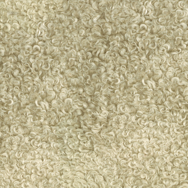 Curly Whirly Foam 410230 by PKL Studio Designer Fabric - 100%Polyester CHINA 51000 Horizontal: 0 and Vertical: 0 61 - Swanky Fabrics -