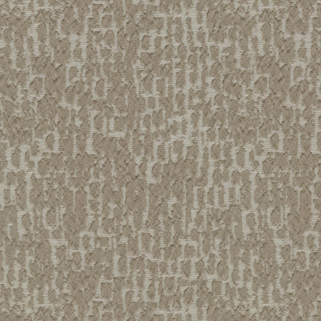 Regine Driftwood 410103 by PKL Studio Designer Fabric - 100%Polyester INDIA 12000 Horizontal: 9.3 and Vertical: 11.9 54 - Swanky Fabrics -