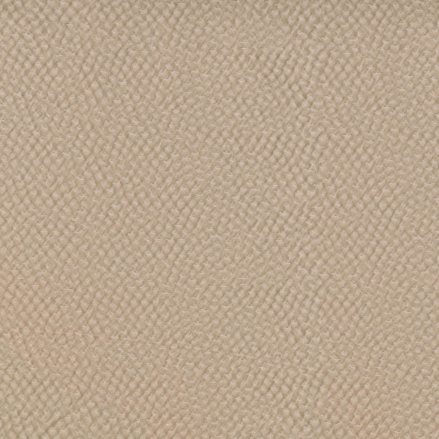 Renee Cameo 409962 by PKL Studio Designer Fabric - 59%Polyester 40%Cotton 1%Lycra INDIA 51000 Horizontal: 9.3 and Vertical: 13.3 55 - Swanky Fabrics -