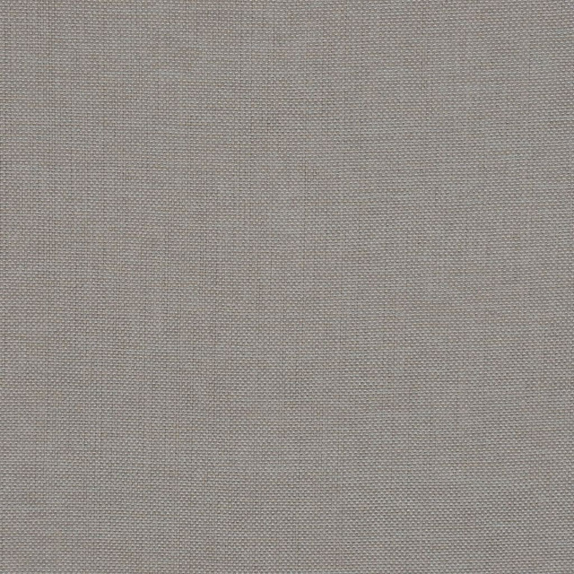Vince Pearl by RM CoCo Designer Fabric Grand Ole Opry 63% Polyester 35% Viscose 2% Plymde See Sample 0 Horizontal: 0 and Vertical: 0 55 - Swanky Fabrics -