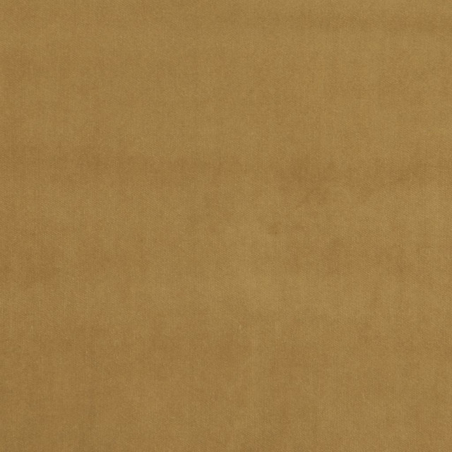 Deluxe Cotton Velvet Pebblestone by RM CoCo Designer Fabric Deluxe 100% Cotton Face 100% Polyester Backing See Sample 0 Horizontal: 0 and Vertical: 0 54 - Swanky Fabrics -