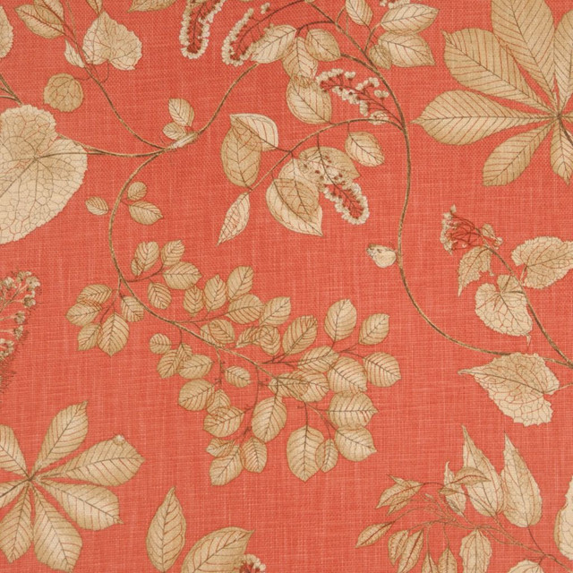 Amablu Barn Red by RM CoCo Designer Fabric Say Cheese 100% Cotton See Sample 0 Horizontal: 27 and Vertical: 27 54 - Swanky Fabrics -