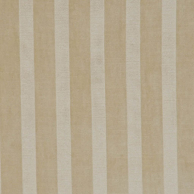 Watson Tusk by RM CoCo Designer Fabric Velvets 50% Acrylic 28% Cotton 22% Rayon See Sample 0 Horizontal: 2 and Vertical: 0 54 - Swanky Fabrics -