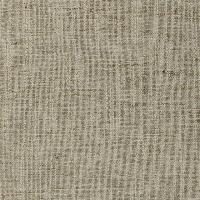 4853-1611 by Kravet Basics Designer Fabric POLYESTER - 100% India Horizontal: 0 and Vertical: 0 54 - Swanky Fabrics -