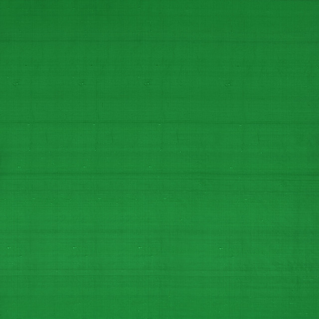 Slyph Fern by Clarke And Clarke Designer Fabric WILDERIE BY EMMA J SHIPLEY FOR C&C SILK - 100% India Horizontal: 0 and Vertical: 0 54 - Swanky Fabrics -