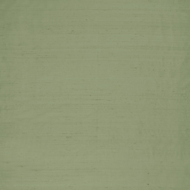 Slyph Pistachio by Clarke And Clarke Designer Fabric WILDERIE BY EMMA J SHIPLEY FOR C&C SILK - 100% India Horizontal: 0 and Vertical: 0 54 - Swanky Fabrics -