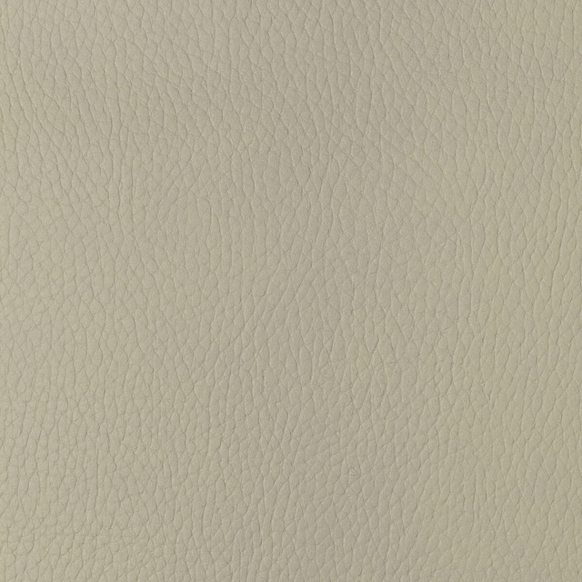 Sugarmaple-1 by Kravet Design Designer Fabric POLYCARBONATE - 100% Japan HEAVY Horizontal: 0 and Vertical: 0 54 - Swanky Fabrics -