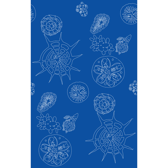 Telescopic P Nautics by Kravet Couture Designer Wallcovering PAPERSCAPE ARTIST SERIES PAPER - 100% United States Horizontal: 27 and Vertical: 72 27 - Swanky Fabrics -