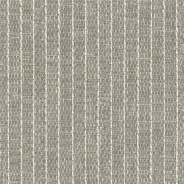 Charismatic Platinum by Kasmir Designer Fabric 1471 73% Polyester
27% Cotton
 INDIA 20,000 Wyzenbeek Double Rubs </p><p>Repeat: Horizontal: 1 inches and Vertical: N/A 54 - Swanky Fabrics -