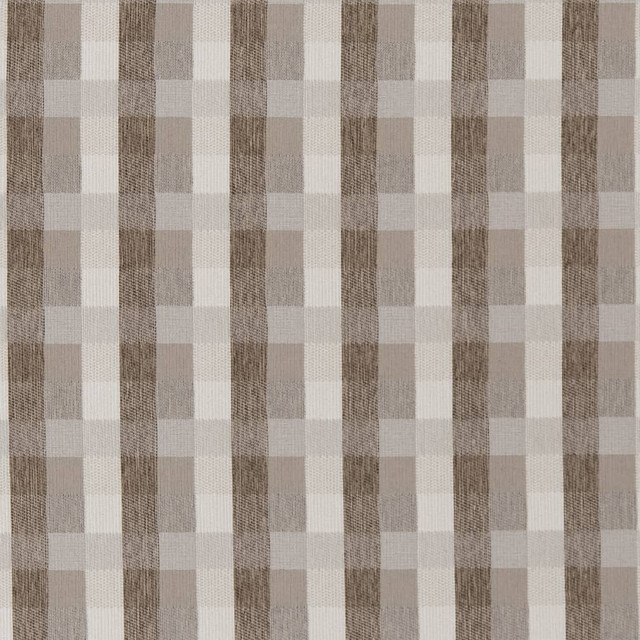 D1977 Dove by Charlotte Designer Fabric Rustic Wovens 64% Woven Polypropylene, 36% Polyester Made In USA Exceeds 30,000 Wyzenbeek Rubs (Heavy Duty) </p><p>Repeat: Horizontal: 3.5" x Vertical: 3.5" 54 Inches - Swanky Fabrics -