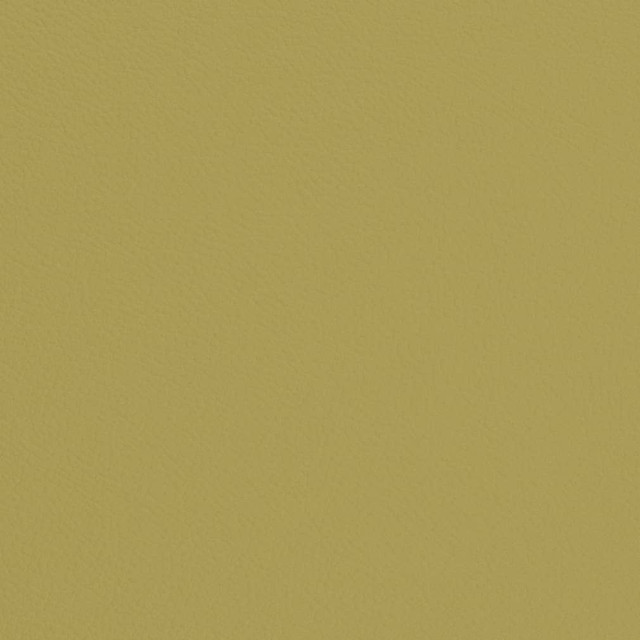 V668 Pear by Charlotte Designer Fabric Defender Face: 100% PVC, Back: Polyester knit backing, 28oz Thailand Exceeds 2,000,000 Wyzenbeek Double Rubs (Heavy Duty) </p><p>Repeat: 54 Inches - Swanky Fabrics -