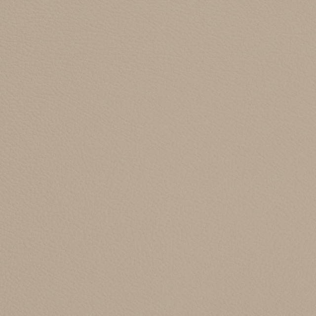 V698 Dove by Charlotte Designer Fabric Defender Face: 100% PVC, Back: Polyester knit backing, 28oz Thailand Exceeds 2,000,000 Wyzenbeek Double Rubs (Heavy Duty) </p><p>Repeat: 54 Inches - Swanky Fabrics -