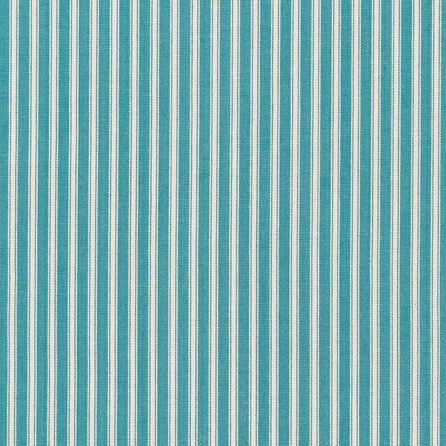 D2368 Robins Egg by Charlotte Designer Fabric Classic Coordinates 100% Cotton India Exceeds 60,000 Wyzenbeek Rubs (Heavy Duty) </p><p>Repeat: 54 Inches - Swanky Fabrics -