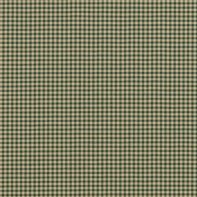 D2398 Forest by Charlotte Designer Fabric Classic Coordinates 40% Polyester, 30% Acrylic, 30% Cotton Spain Exceeds 30,000 Wyzenbeek Rubs (Heavy Duty) </p><p>Repeat: 54 Inches - Swanky Fabrics -