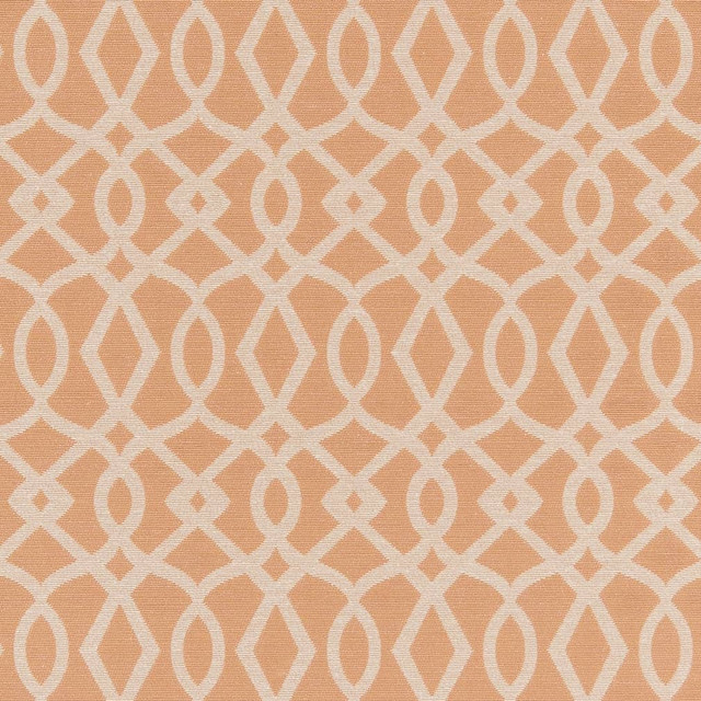 D2442 Peach by Charlotte Designer Fabric Crypton Patterns 51% Polyester, 49% Cotton Made in USA Exceeds 90,000 Wyzenbeek Rubs (Heavy Duty) </p><p>Repeat: Horizontal 4" x Vertical 6.75" 54 Inches - Swanky Fabrics -