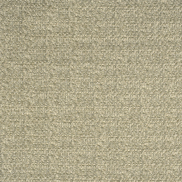 F2749 Birch by Greenhouse Designer Fabric 100% Polyester China 30,000 double rubs </p><p>Repeat: None 58" - Swanky Fabrics -