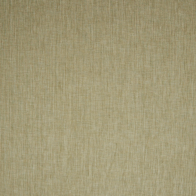 A6823 Alabaster by Greenhouse Designer Fabric 63% Polyester, 35% Viscose, 2% Polyamide China 37,000 double rubs </p><p>Repeat: None 55" - Swanky Fabrics - A6823 Alabaster by Greenhouse Designer Fabric 63% Polyester, 35% Viscose, 2% Polyamide China 37,000 double rubs </p><p>Repeat: None 55" - Swanky Fabrics -