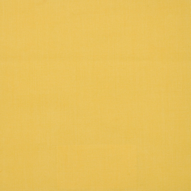 S1263 Dawn by Greenhouse Designer Fabric 100% Polyester 2,000 Light Hours Taiwan 427,500 double rubs </p><p>Repeat: None 54" - Swanky Fabrics - S1263 Dawn by Greenhouse Designer Fabric 100% Polyester 2,000 Light Hours Taiwan 427,500 double rubs </p><p>Repeat: None 54" - Swanky Fabrics -