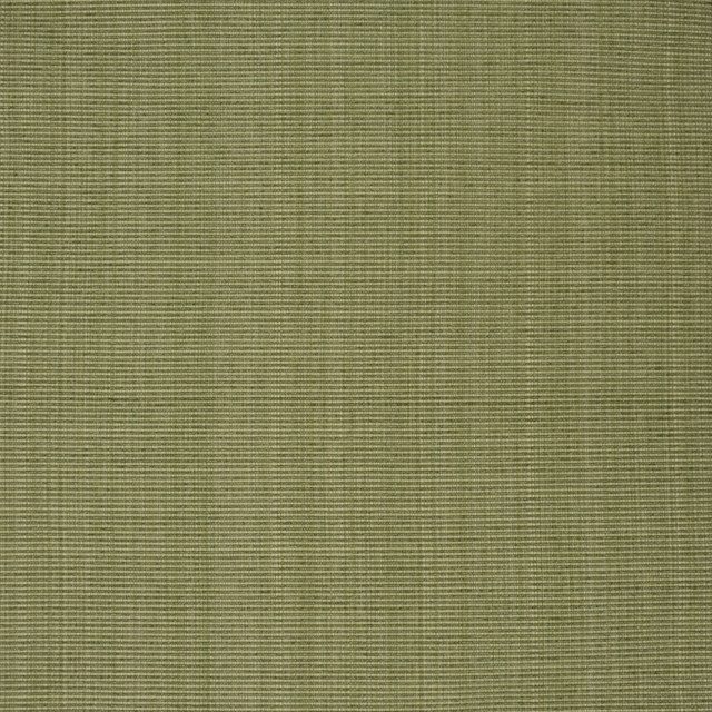 F3752 Sage by Greenhouse Designer Fabric 51% Cotton, 30% Polyester, 19% Rayon China 60,000 double rubs </p><p>Repeat: None 60" - Swanky Fabrics -