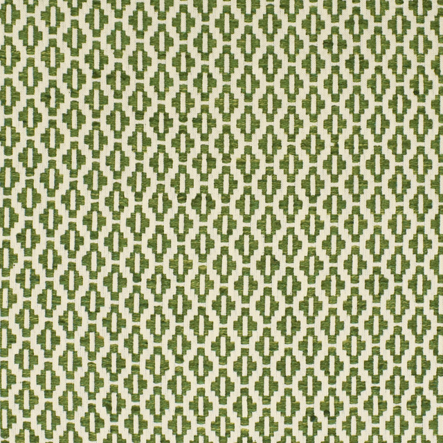 S2855 Fern by Greenhouse Designer Fabric 65% Polyester, 35% Cotton India 50,000 double rubs </p><p>Repeat: .8" H, .75" V 54" - Swanky Fabrics -