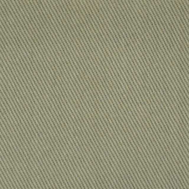 F2544 Sage by Greenhouse Designer Fabric 100% Cotton 12.0 Oz/Sq Yd USA 18,000 double rubs </p><p>Repeat: None 56" - Swanky Fabrics - F2544 Sage by Greenhouse Designer Fabric 100% Cotton 12.0 Oz/Sq Yd USA 18,000 double rubs </p><p>Repeat: None 56" - Swanky Fabrics -