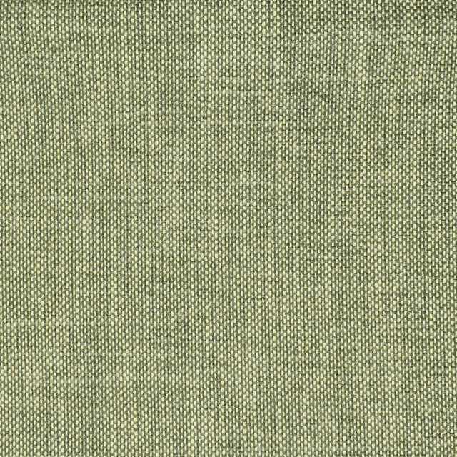 S2354 Eucalyptus by Greenhouse Designer Fabric 70% Polyester, 25% Viscose, 5% Linen China 100,000 double rubs </p><p>Repeat: NONE 54" - Swanky Fabrics - S2354 Eucalyptus by Greenhouse Designer Fabric 70% Polyester, 25% Viscose, 5% Linen China 100,000 double rubs </p><p>Repeat: NONE 54" - Swanky Fabrics -