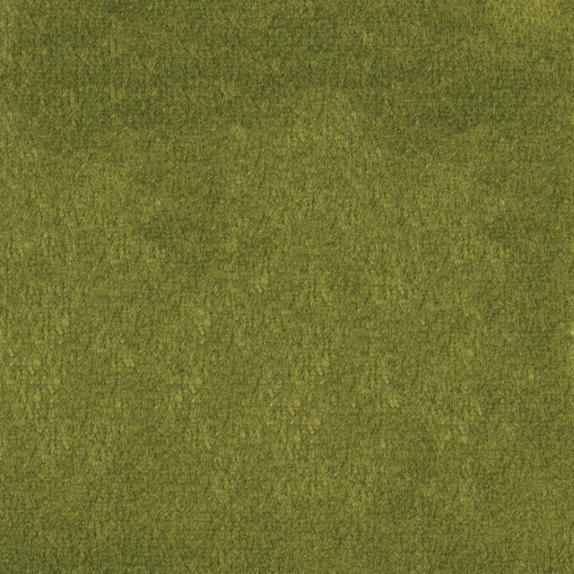 F1837 Fern by Greenhouse Designer Fabric 100% Polyester China 102,000 double rubs </p><p>Repeat: None 54" - Swanky Fabrics -