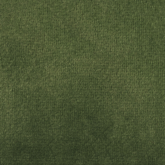F1838 Parrot by Greenhouse Designer Fabric 100% Polyester China 102,000 double rubs </p><p>Repeat: None 54" - Swanky Fabrics -