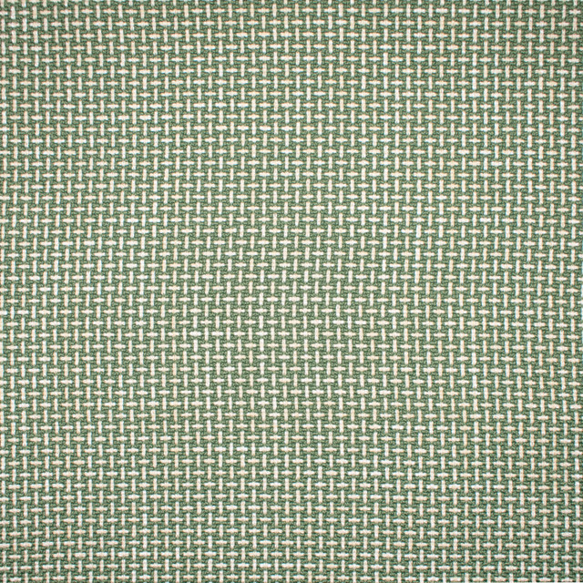 F1672 Sprout by Greenhouse Designer Fabric 100% Polyester China 75,000 double rubs </p><p>Repeat: .5" H, .5" V 57" - Swanky Fabrics - F1672 Sprout by Greenhouse Designer Fabric 100% Polyester China 75,000 double rubs </p><p>Repeat: .5" H, .5" V 57" - Swanky Fabrics -