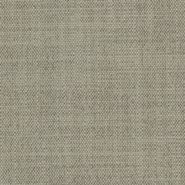 Brookings Slate by Carole Designer Fabric Enterprise 100% Polyester India 15,000 Wyzenbeek Double Rubs </p><p>Repeat: None 55" - Swanky Fabrics -