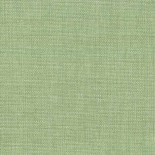 Rally Palm by Norbar Designer Fabric ATRIUM 100% POLYESTER WITH ACRYLIC S. KOREA 55 - Swanky Fabrics -