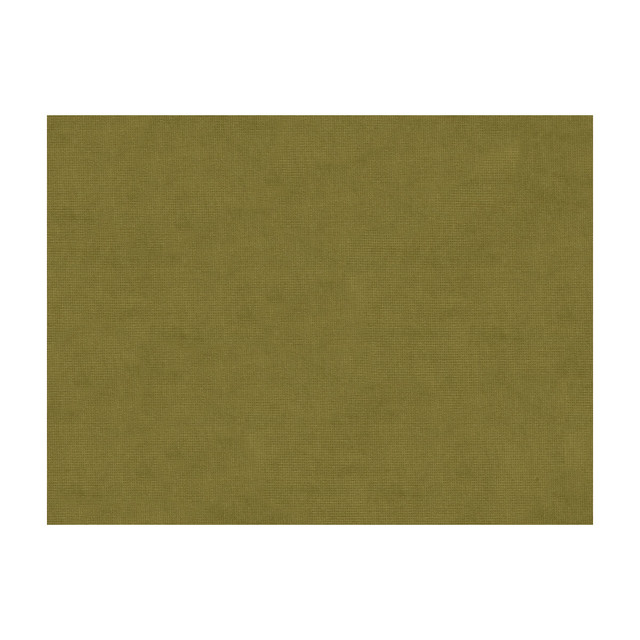 Charmant Velvet Olive by Brunschwig & Fils Fabric Brunschwig & Fils Fabric Charmant Velvet OliveFabric COTTON - 61%;VISCOSE - 39% Netherlands </p><p>Repeat: H: , V: 55 - Fabric Carolina -