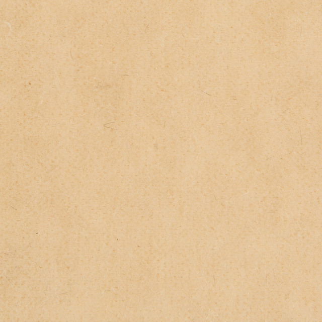 Bachelor Mohair Almond by Brunschwig & Fils Fabric Brunschwig & Fils Fabric Bachelor Mohair AlmondFabric COTTON - 54%;MOHAIR - 46% Netherlands </p><p>Repeat: H: , V: 55 - Fabric Carolina -