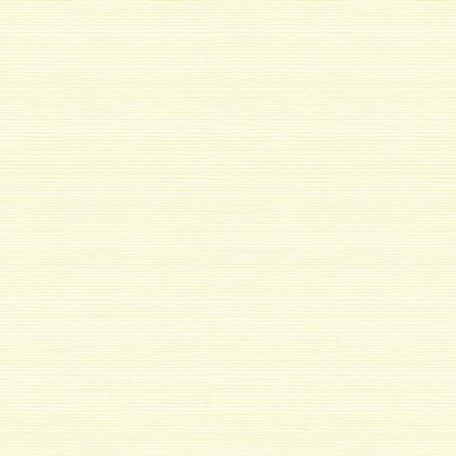 Sisal & Cotton Grasscloth Neutral by Brunschwig & Fils Wallcovering Brunschwig & Fils Wallcovering Sisal & Cotton Grasscloth NeutralWallcovering SISAL - 85%;COTTON - 15% United States </p><p>Repeat: H: , V: 36 - Fabric Carolina -