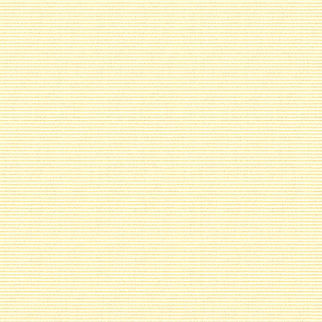 Bosporus Ottoman Texture Ecru by Brunschwig & Fils Fabric Brunschwig & Fils Fabric Bosporus Ottoman Texture EcruFabric VISCOSE - 55%;COTTON - 45% France </p><p>Repeat: H: , V: 56 - Fabric Carolina -