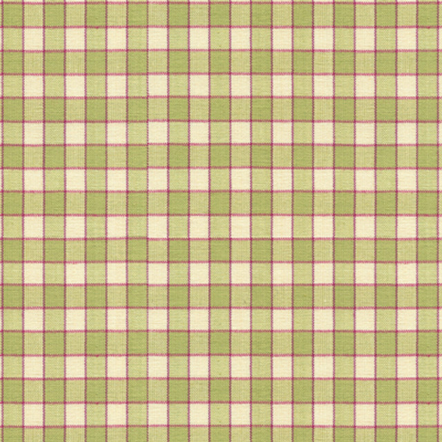 La Seyne Check Apple by Brunschwig & Fils Fabric Brunschwig & Fils Fabric La Seyne Check AppleFabric TRESORS DE JOUY COTTON - 100% India </p><p>Repeat: H: 0.8, V: 0.8 53 - Fabric Carolina -