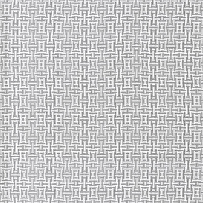 Aztec Silver by Clarke And Clarke Fabric Clarke And Clarke Fabric Aztec SilverFabric CLARKE & CLARKE ORIGINS COTTON - 100% India </p><p>Repeat: H: 1.5, V: 1.7 55 - Fabric Carolina -