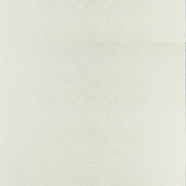 Blaize Silver by Clarke And Clarke Fabric Clarke And Clarke Fabric Blaize SilverFabric CLARKE & CLARKE GEOMO POLYESTER - 92%;COTTON - 8% India </p><p>Repeat: H: 13.5, V: 26.78 54 - Fabric Carolina -