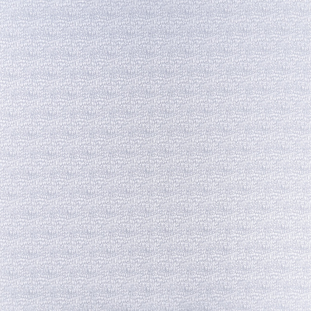Erebia Silver by Clarke And Clarke Fabric Clarke And Clarke Fabric Erebia SilverFabric CLARKE & CLARKE GEOMO POLYESTER - 100% India </p><p>Repeat: H: 6.75, V: 7.09 54 - Fabric Carolina -