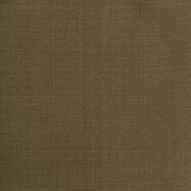 Jour Khaki by Brunschwig & Fils Fabric Brunschwig & Fils Fabric Jour KhakiFabric JAGTAR SILK - 100% Thailand </p><p>Repeat: H: 0, V: 0 48 - Fabric Carolina -