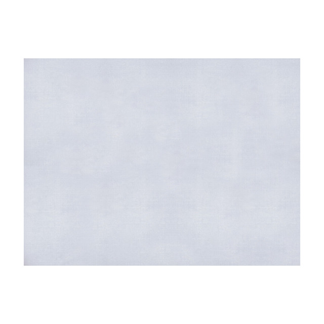 Sukhothai White by Brunschwig & Fils Fabric Brunschwig & Fils Fabric Sukhothai WhiteFabric JAGTAR SILK - 100% Thailand </p><p>Repeat: H: 0, V: 0 55 - Fabric Carolina -