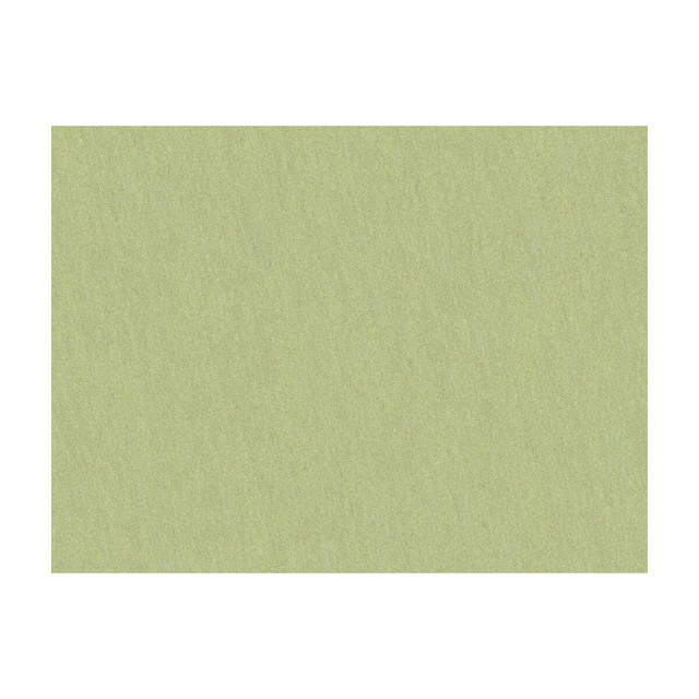 Shots Marjoram by Brunschwig & Fils Fabric Brunschwig & Fils Fabric Shots MarjoramFabric JAGTAR SILK - 100% Thailand </p><p>Repeat: H: 0, V: 0 54 - Fabric Carolina -